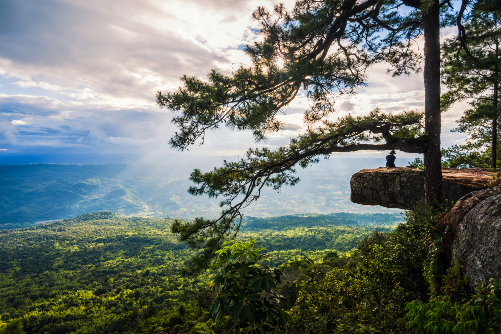 ภูกระดึง (จังหวัดเลย)