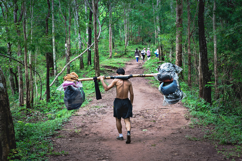 ภูกระดึง 2568 เปิดฤดูกาลท่องเที่ยว