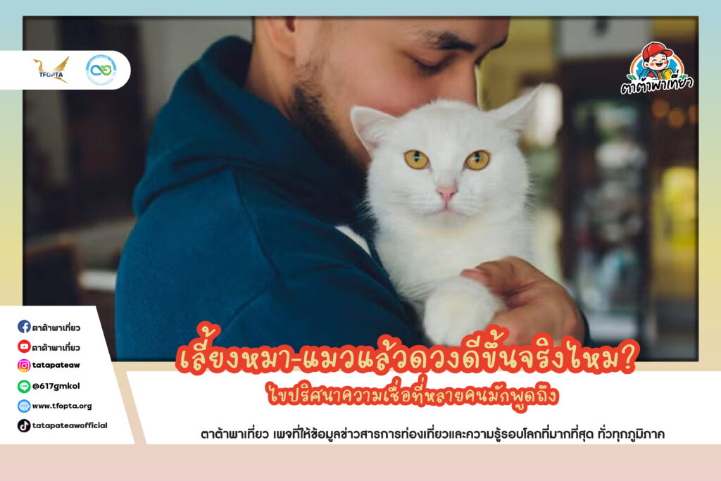 เลี้ยงหมา–แมวแล้วดวงดีขึ้นจริงไหม?